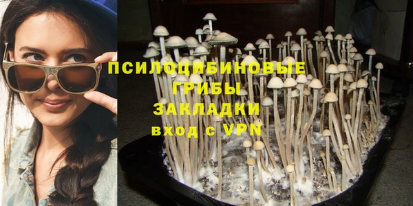 сатива Алексеевка