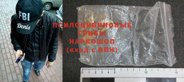 сатива Алексеевка