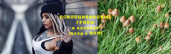 ALPHA-PVP Алексин